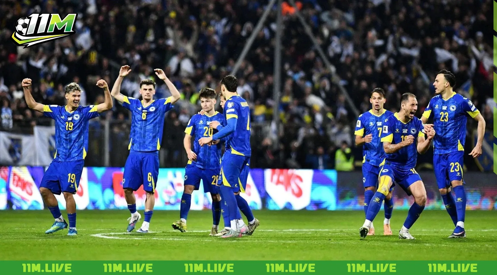 đội tuyển bóng đá quốc gia bosna và hercegovina